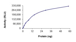 Sino Biological&nbsp;Recombinant Human FLT3 Protein (N676K, GST Tag), Active